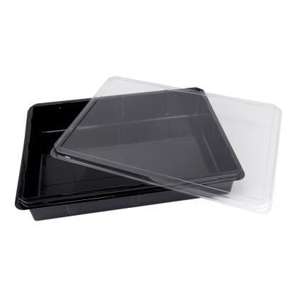 tiramisu plastic container box