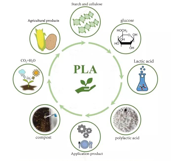 Acide polylactique - un matériau biodégradable aide le vert